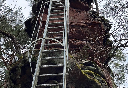 24-03-01 13-40-35 2349